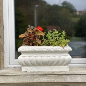 ART. 804 - Cvetlično korito za okenske police